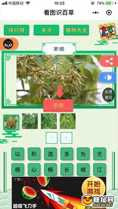 看图识百草