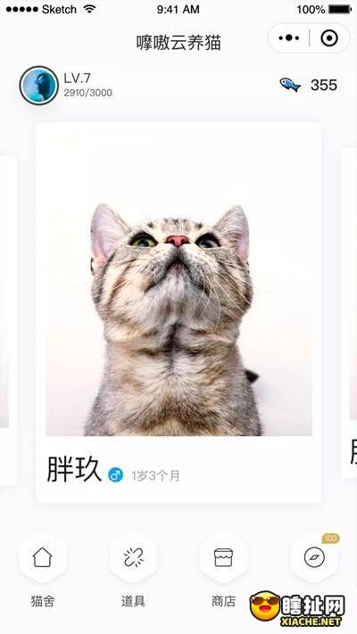 嚤嗷云养猫